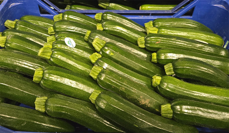 Zucchine - Sicilia - 3,90 euro al chilogrammo